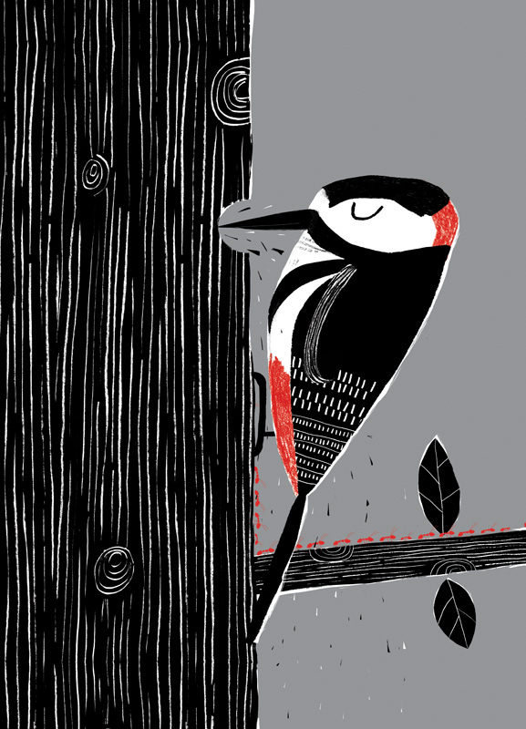 Pecker_01.jpg