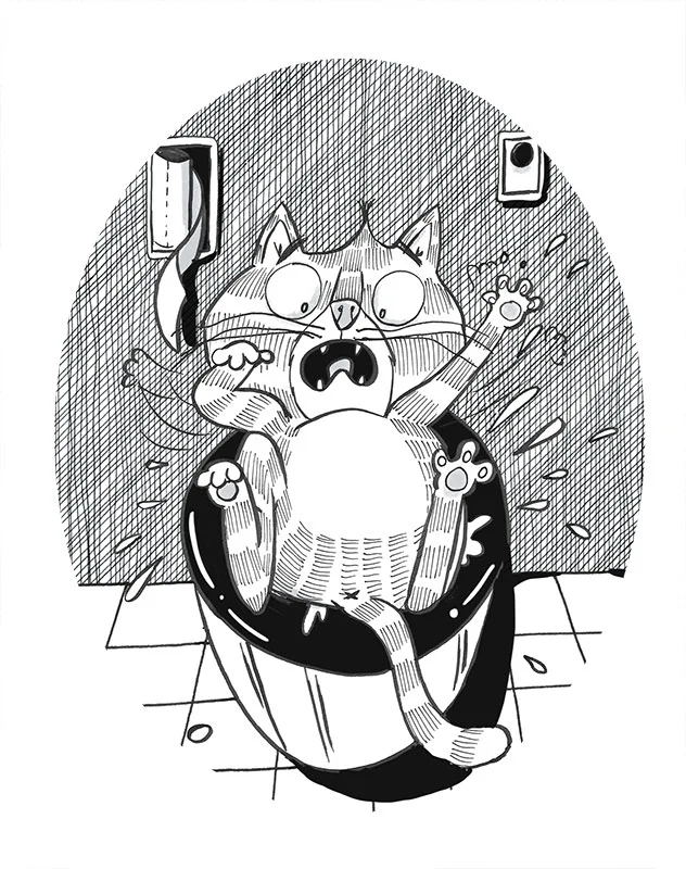 Supercat_FINAL_P58_59.jpg