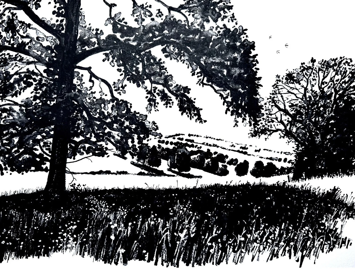 UNDERTHETREES.jpg