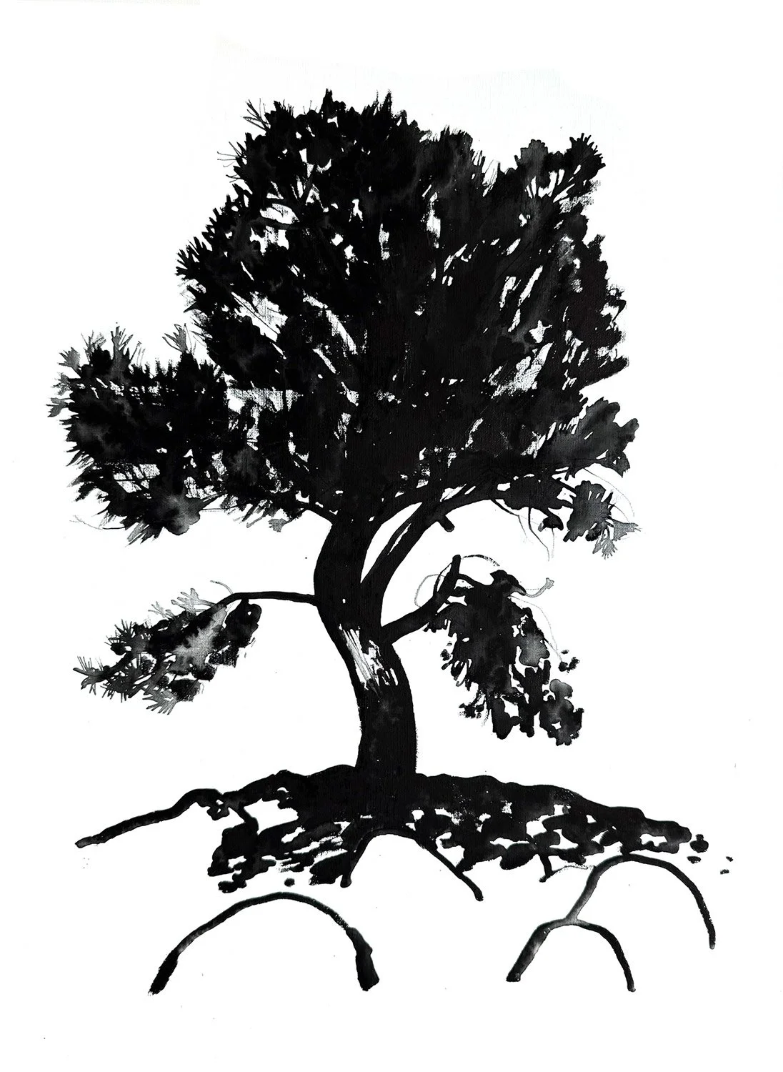 FAVETREE_CANVAS.jpg