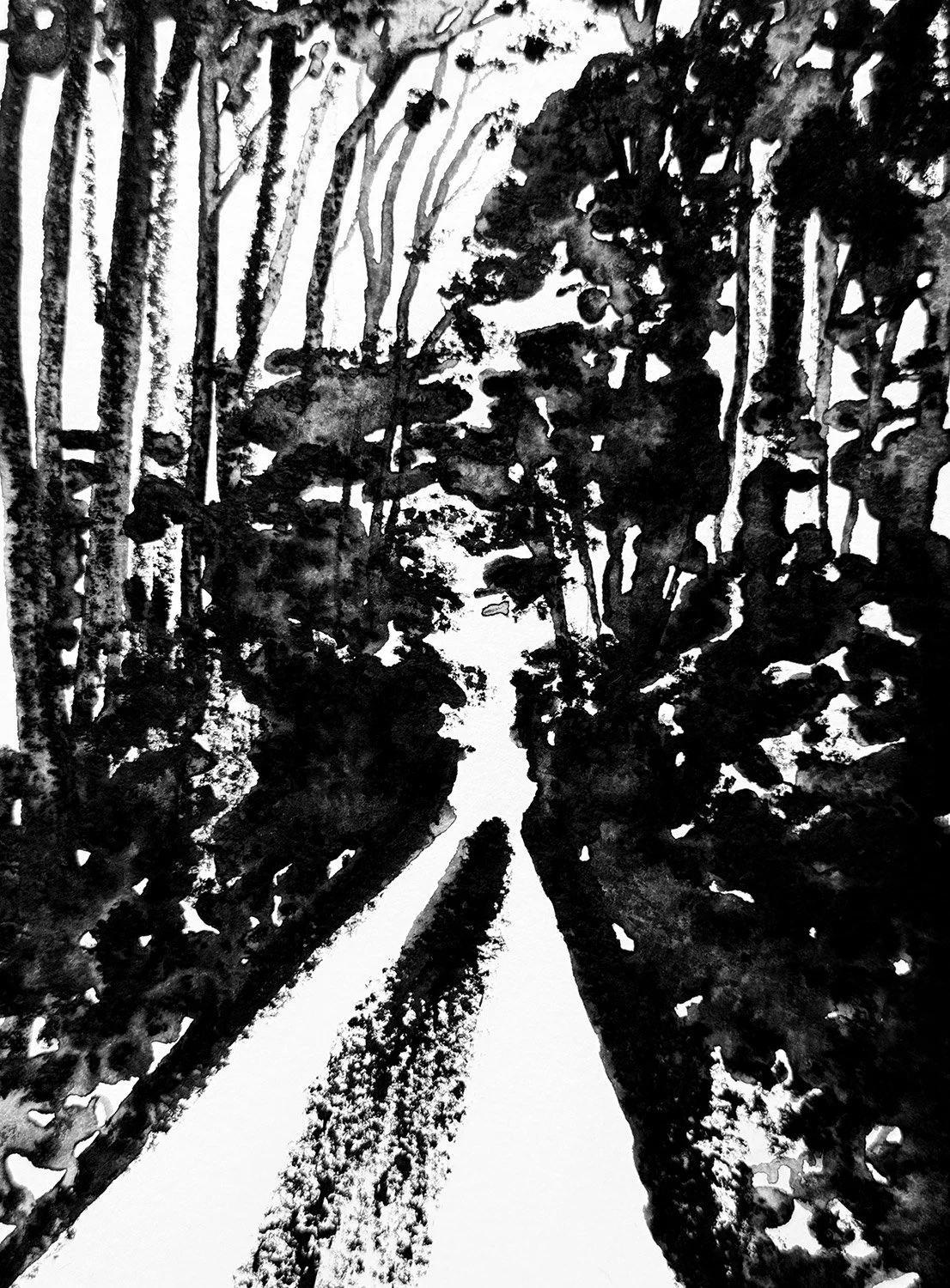 TUNNEL_FLEURY_ROAD.jpg