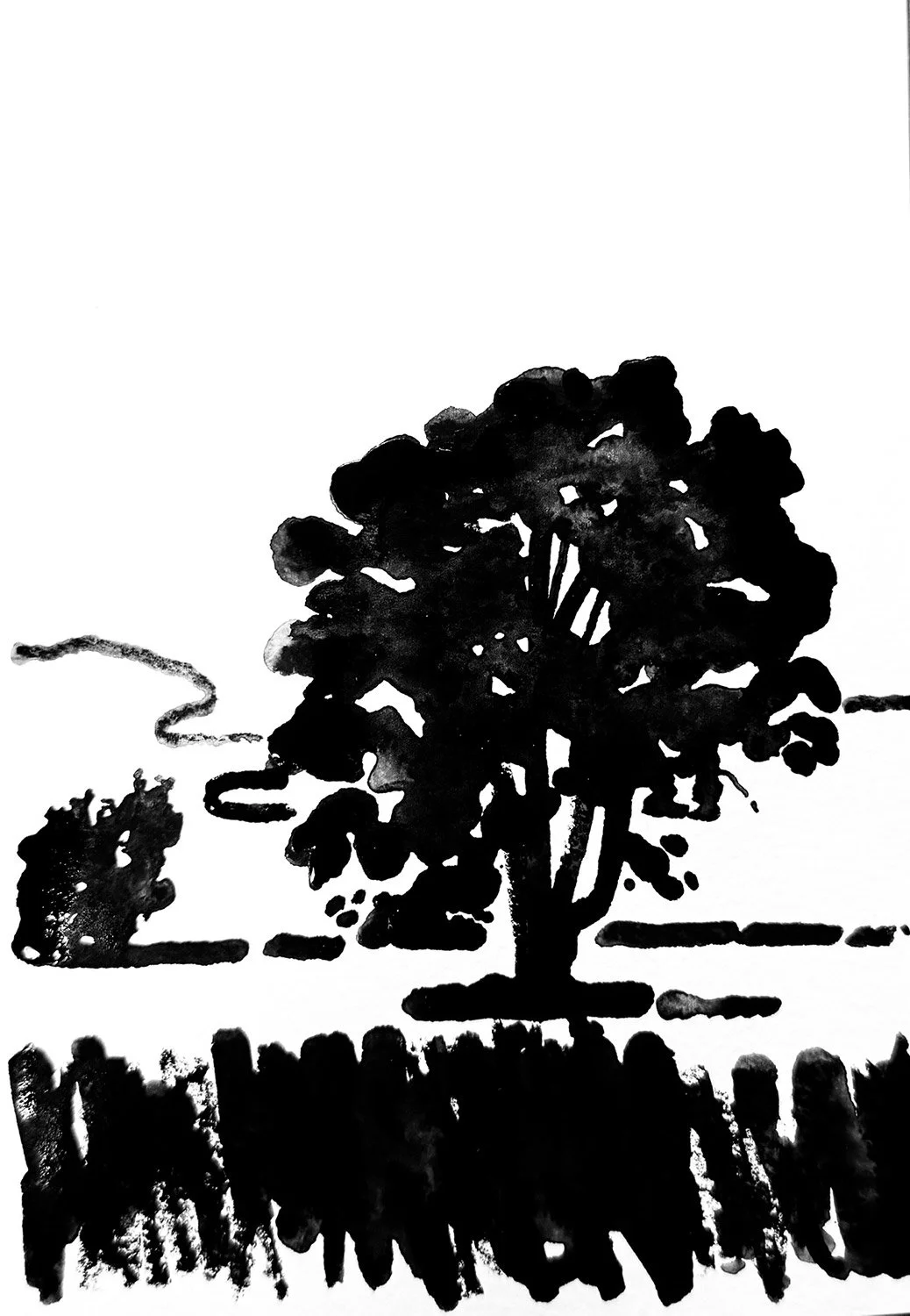 TREE_FIELD_STUDY.jpg