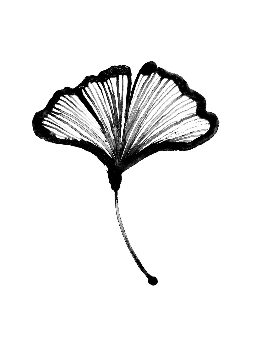 GINKOLEAF.jpg