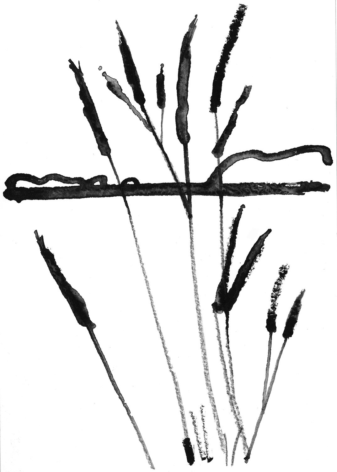 GRASSES_FIELD_STUDY.jpg