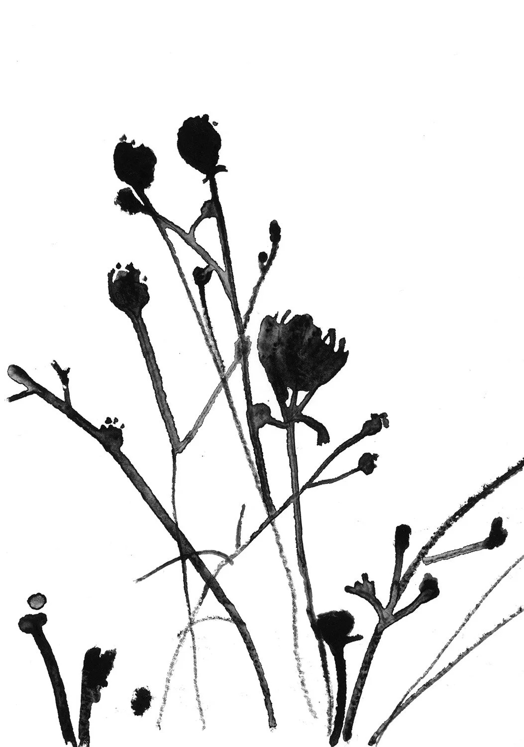 FLOWERDETAILS_STUDY.jpg