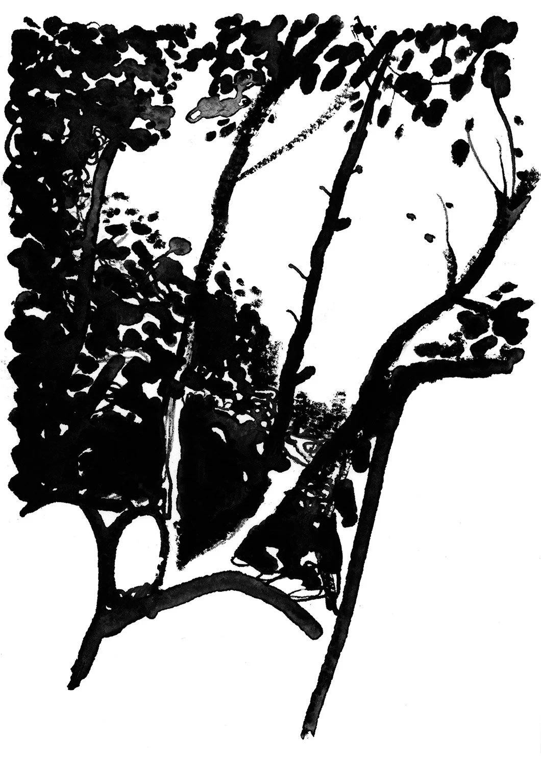 FOREST_LEANINGPINES_STUDY.jpg