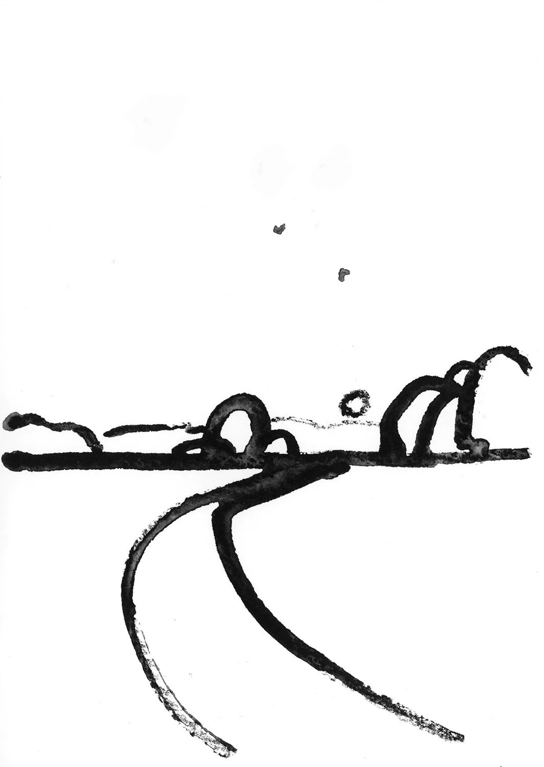 PATH_FIELD_STUDY.jpg