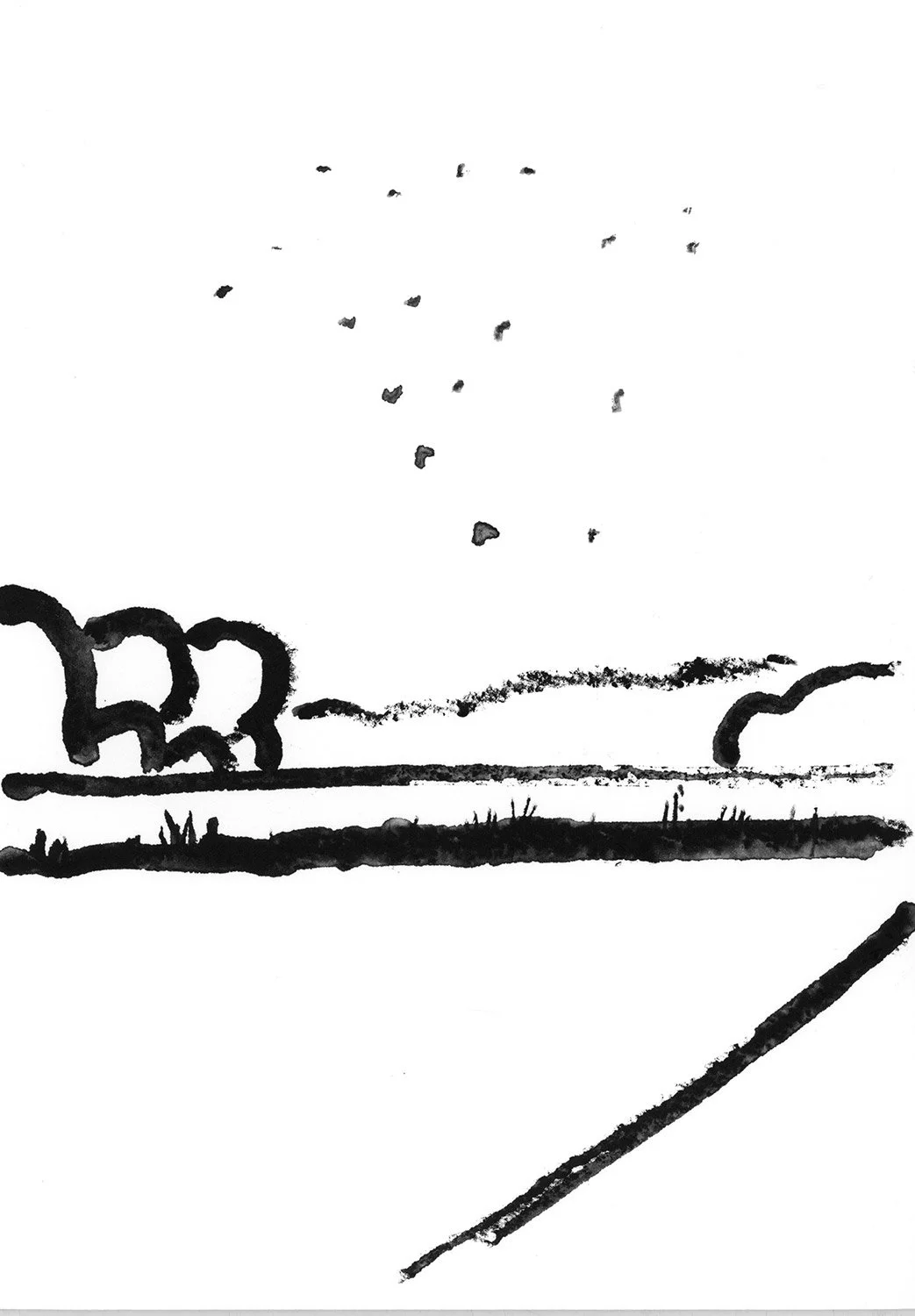 BIRDS_FIELDS_STUDY.jpg