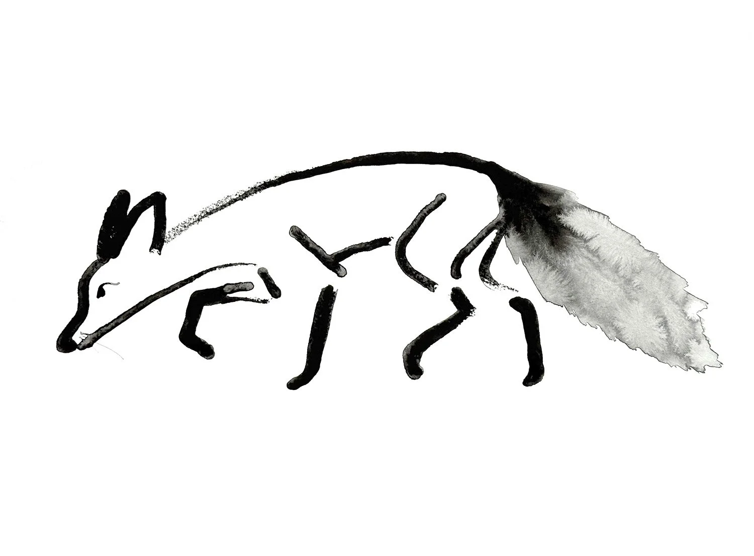 FOXY.jpg