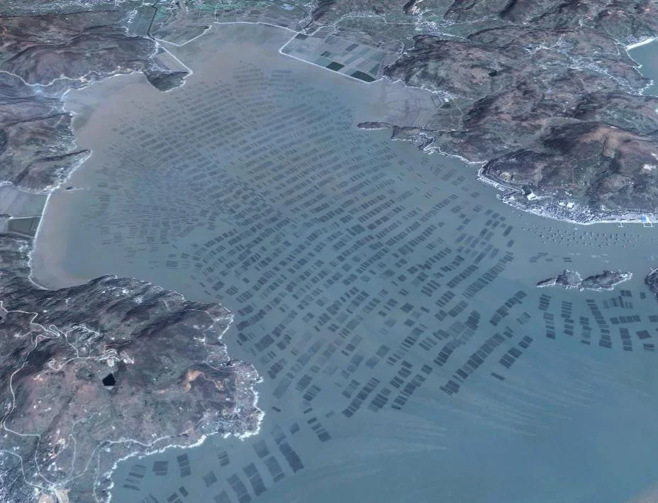 Seaweed farm.jpg