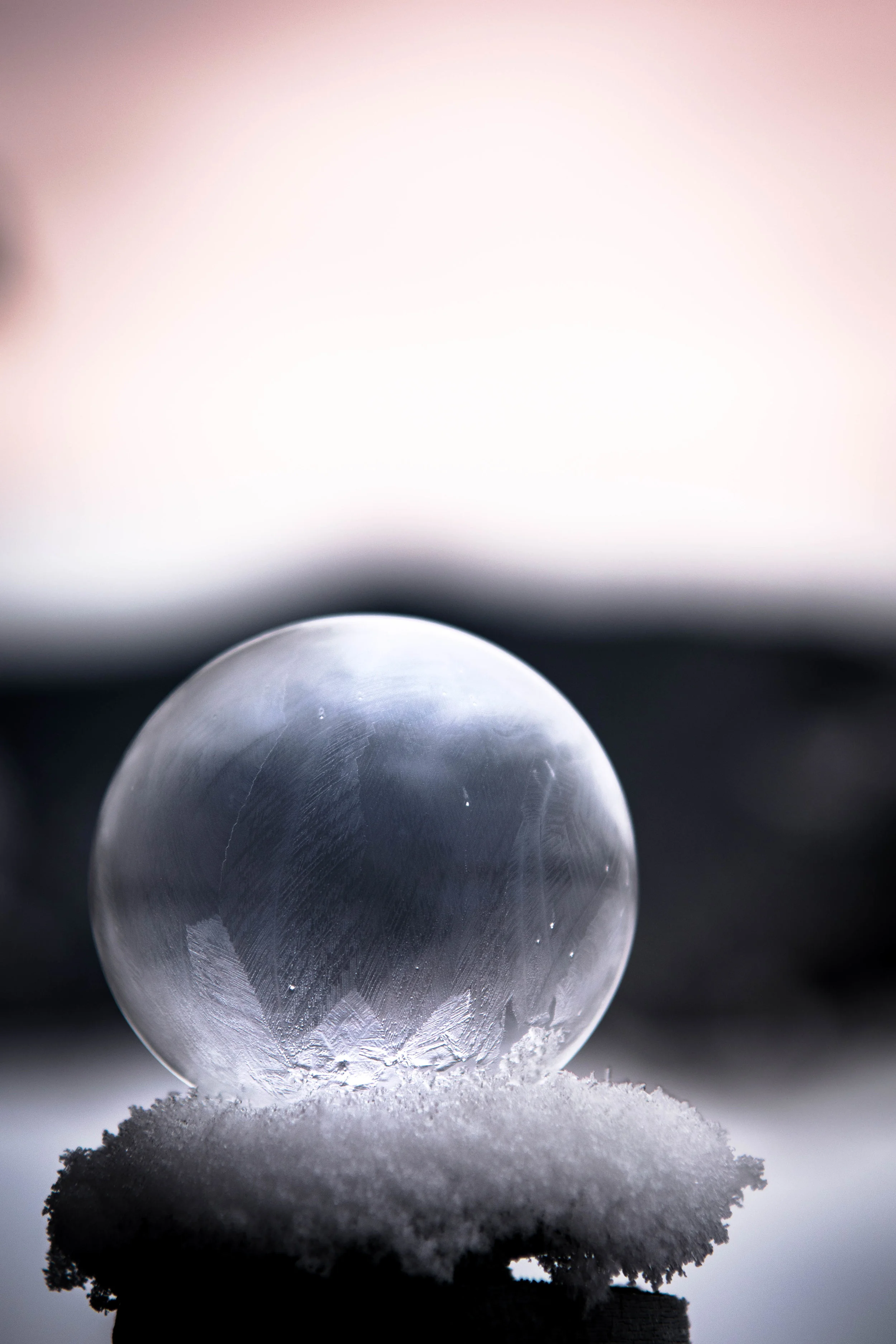 Where JoyTech all started