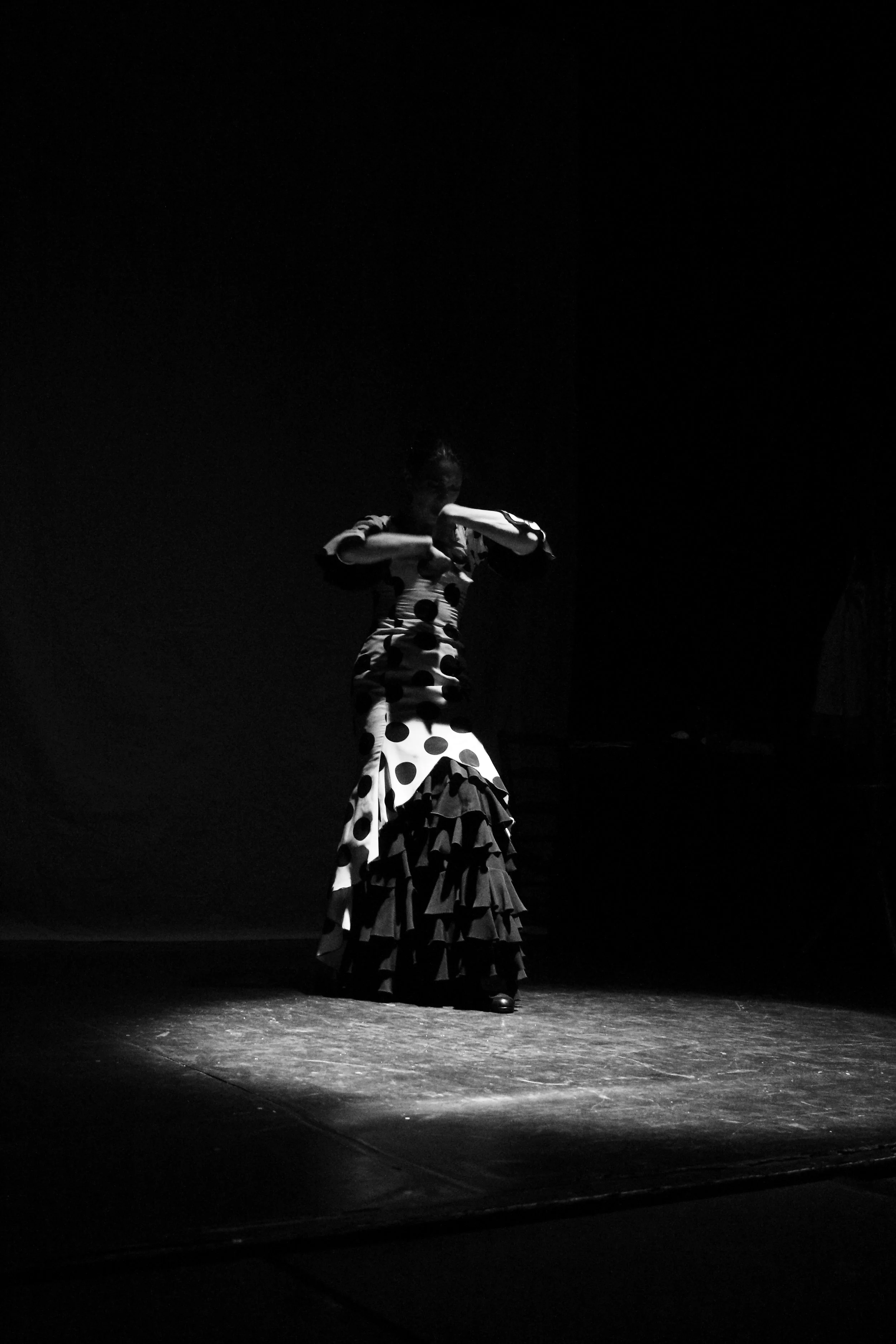 Flamenco at the Red Brick