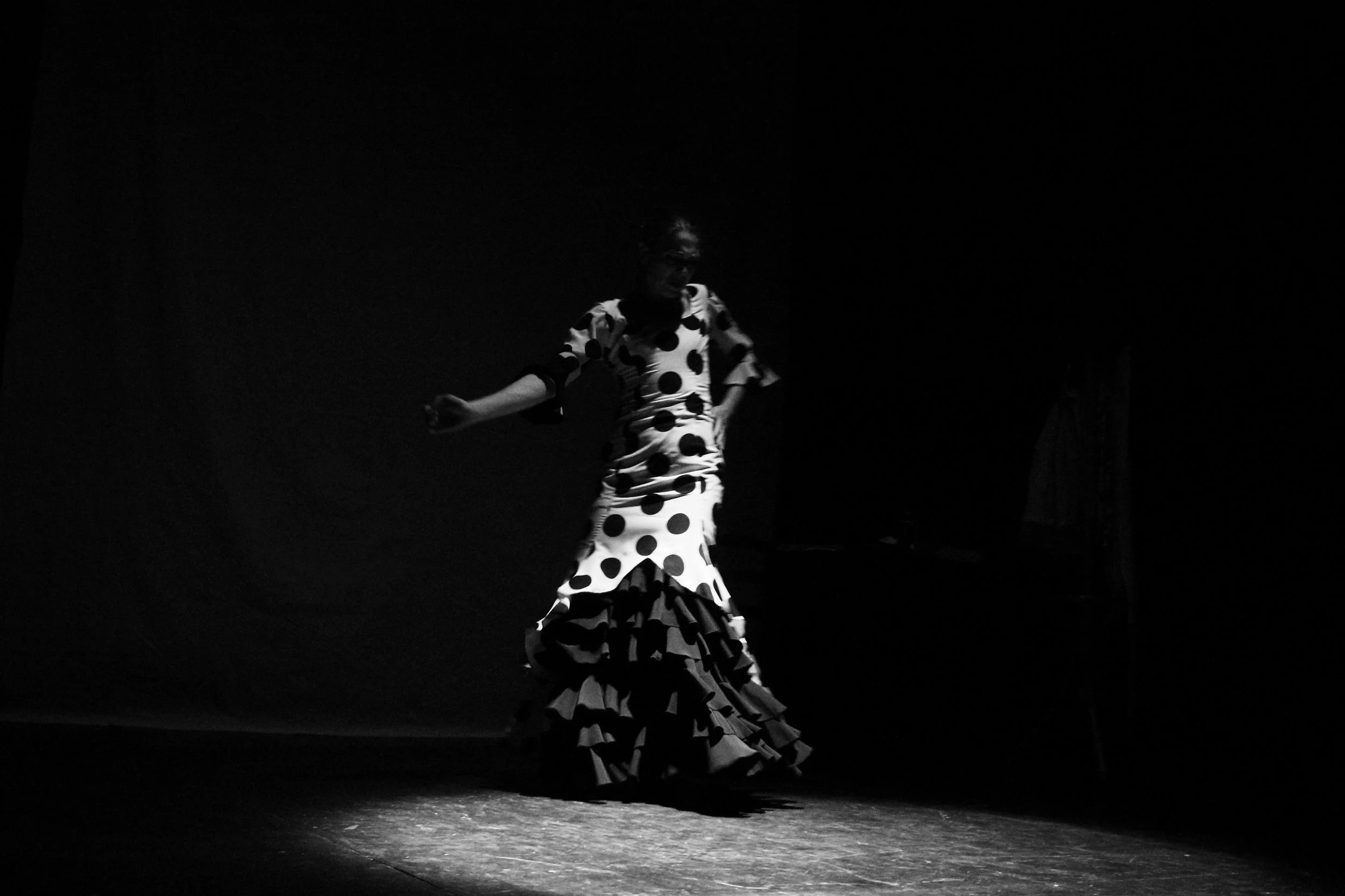 Flamenco in Briantspuddle