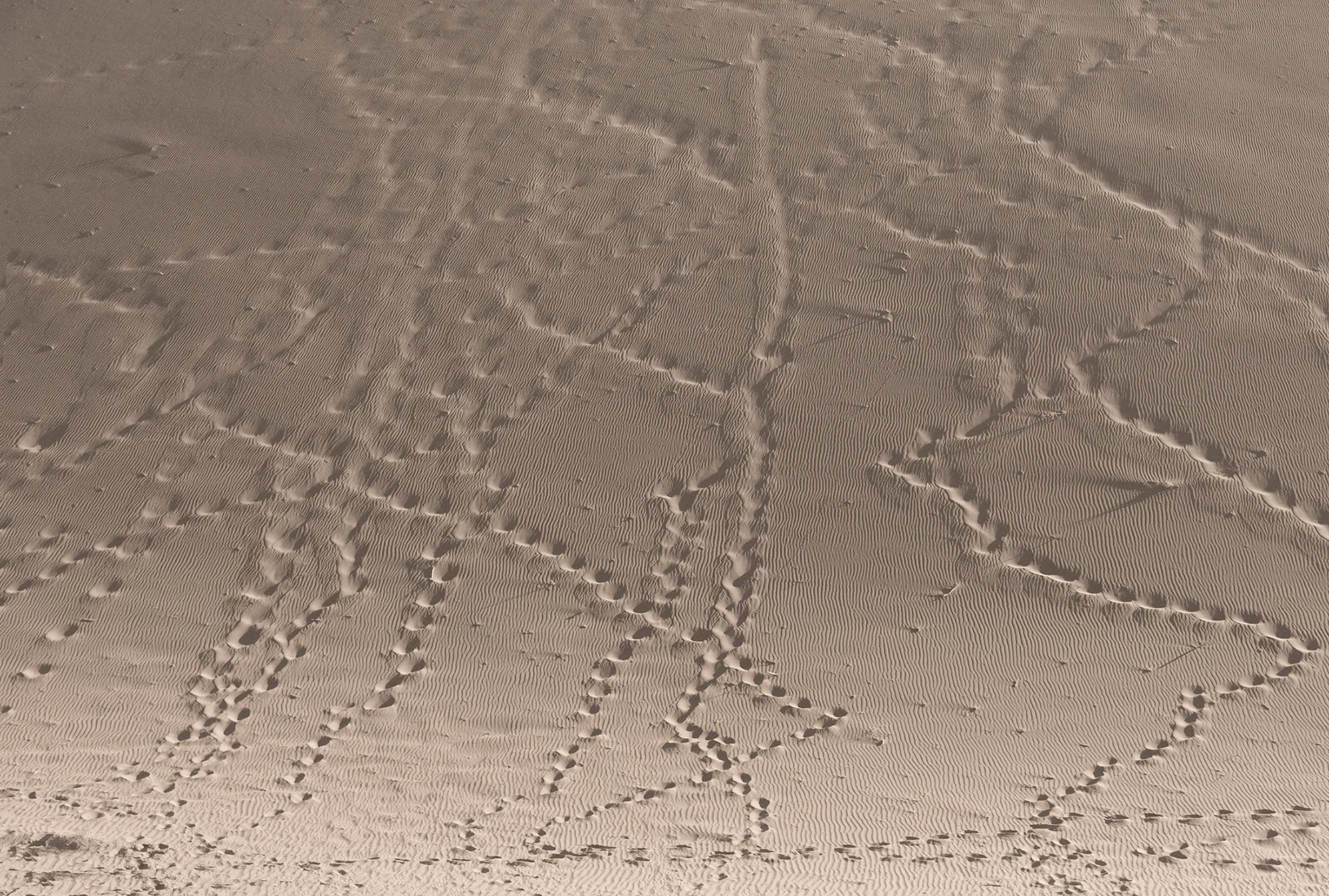 Traces of you