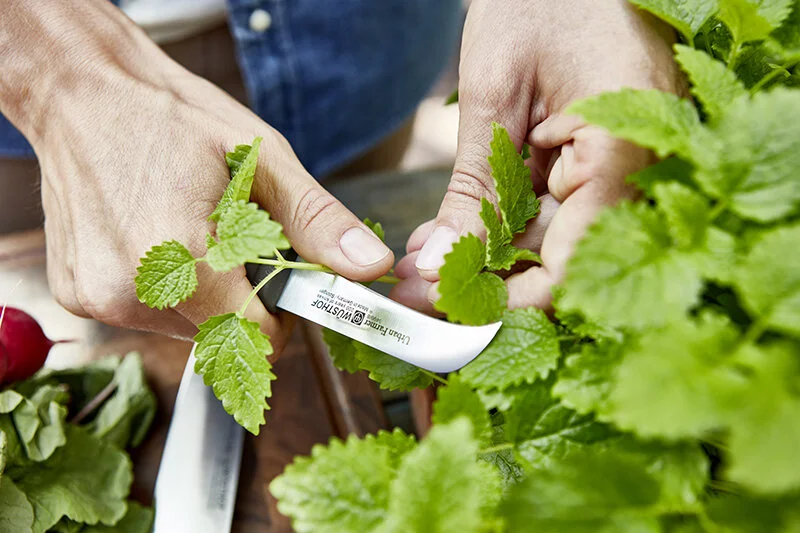 Peeling knife 1.jpg