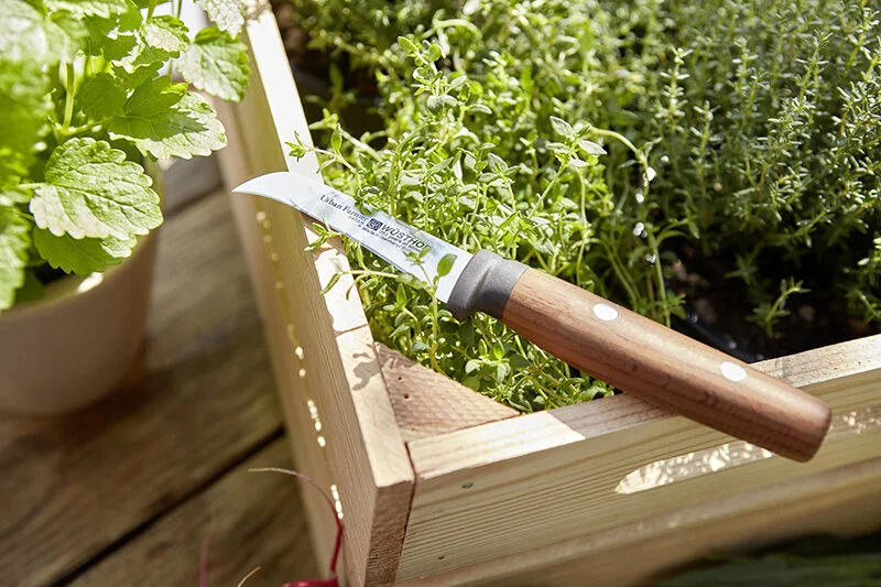 Peeling Knife 4.jpg