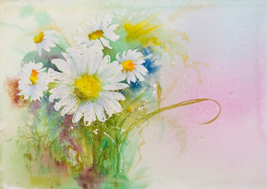 Summer Daisies