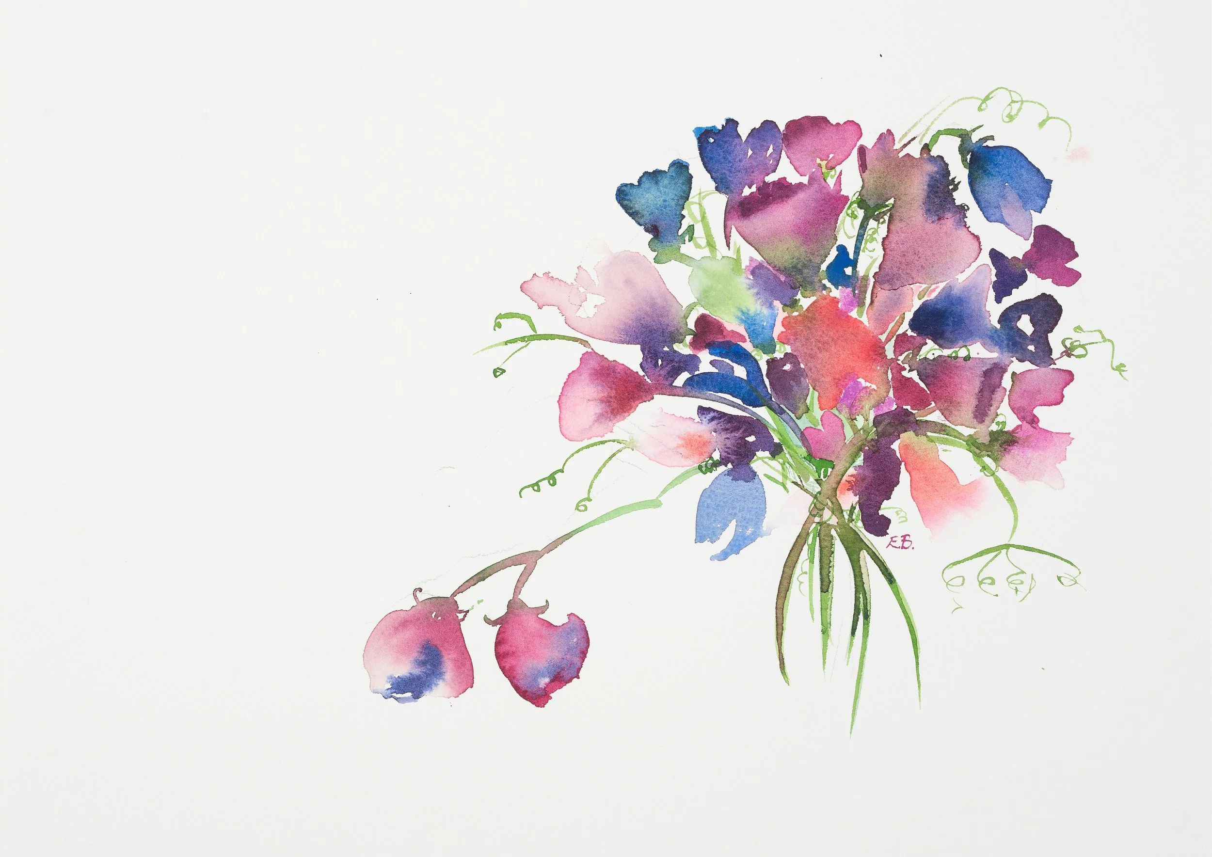 Summer Sweet Pea
