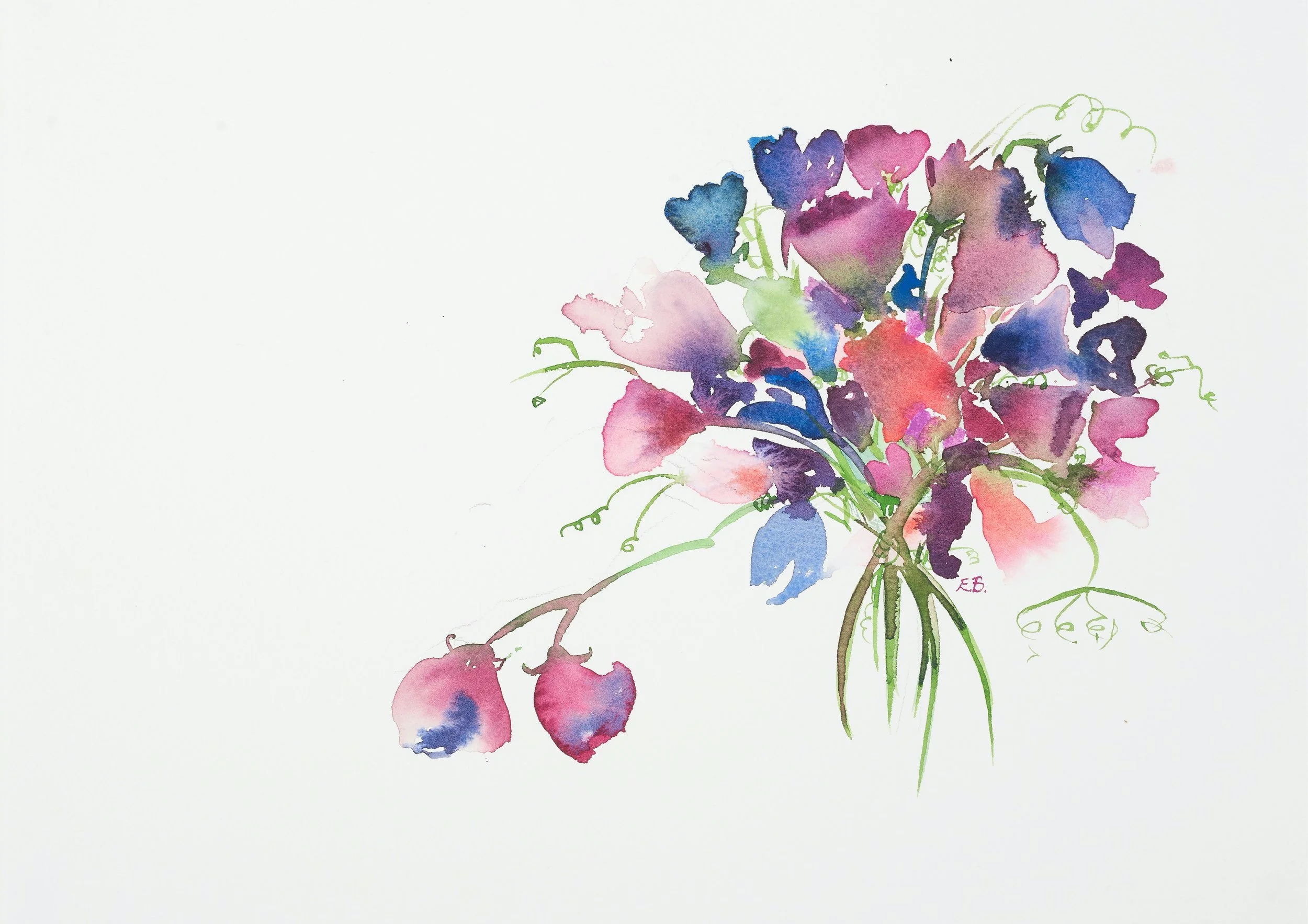 Summer Sweet Pea