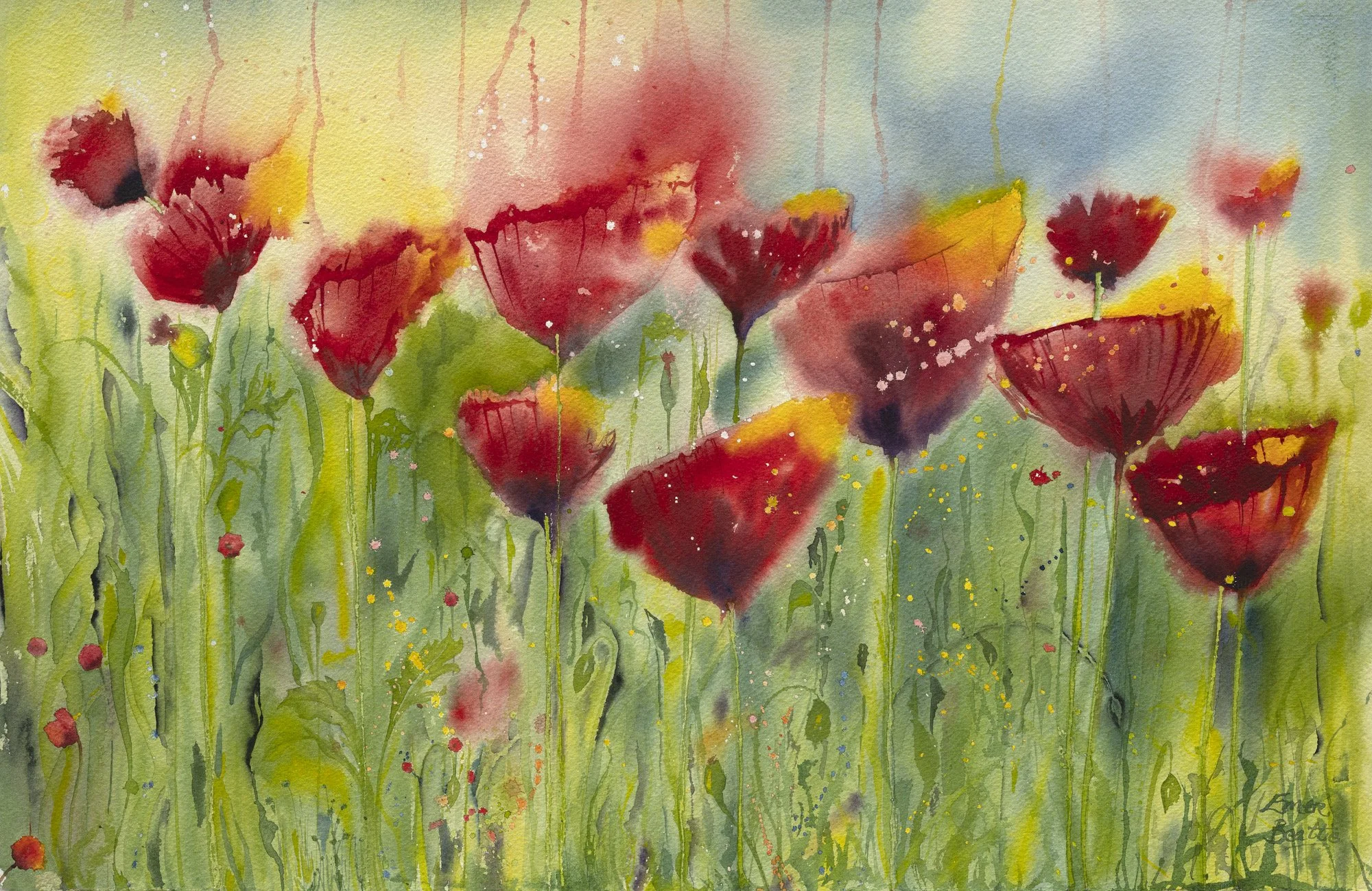 A Dozen Tiny Sunsets Web Opt.jpeg