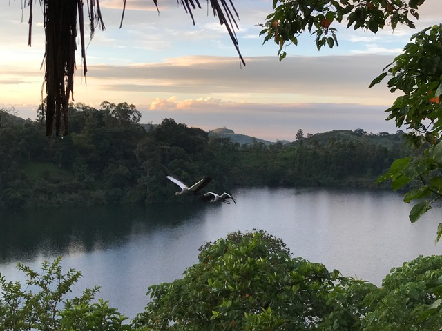 malayaka_house_safari_gallery_20.png