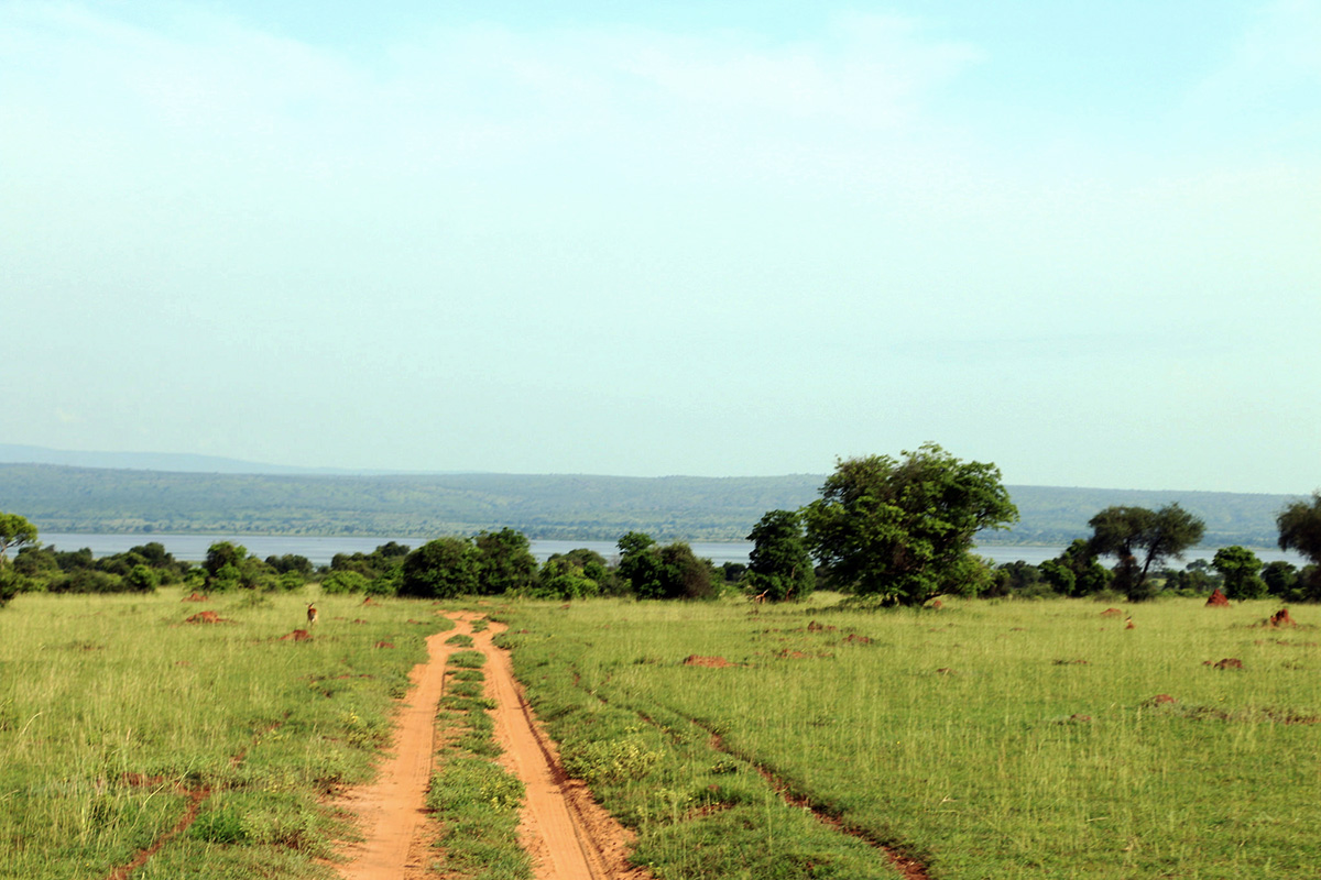 poster-dirtroad-1.jpg