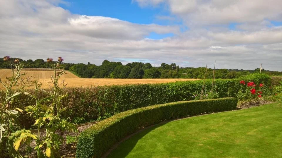Overton Gardening Services 1.jpeg