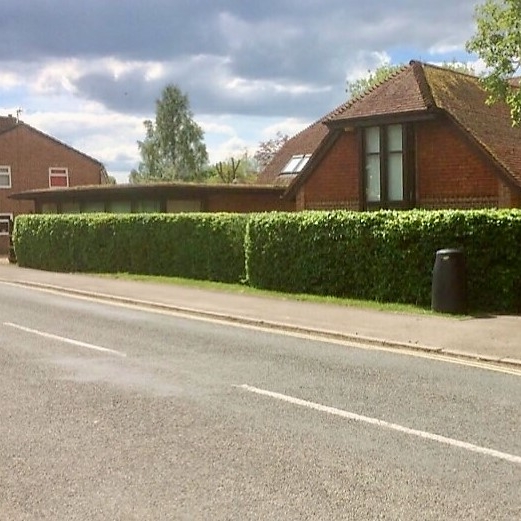 Overton Gardening Services 3.jpeg