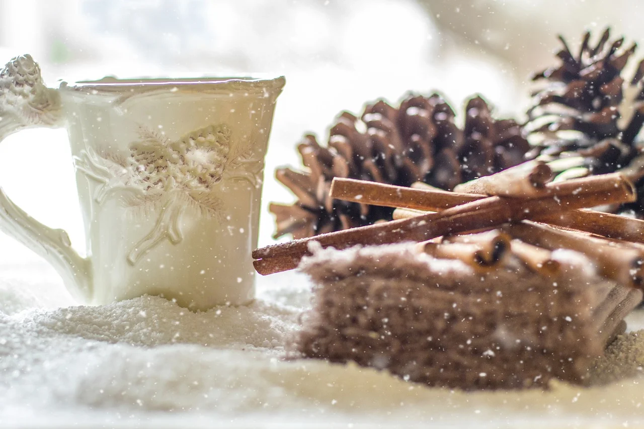 pine-cones-2110283_1280.jpg