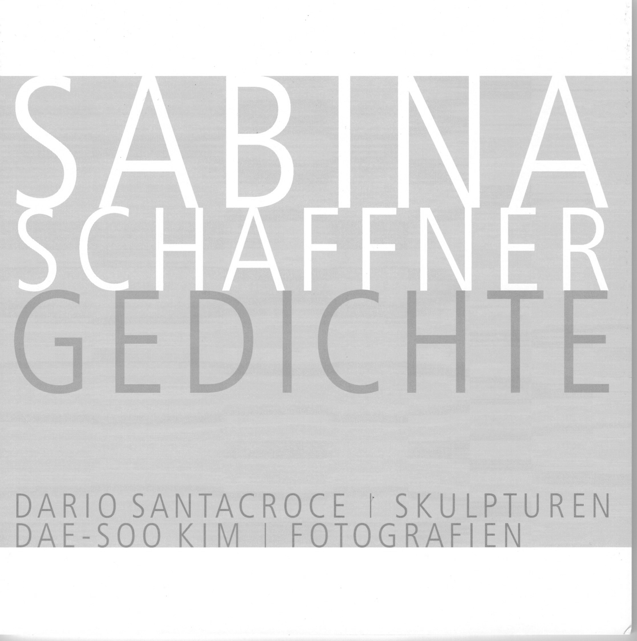 sabrina santacroce book.jpg