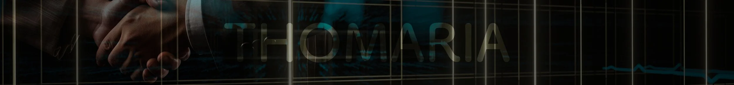  I was commissioned by wonderful clients to create their company’s identity and supportive elements, illustrations and icons.    