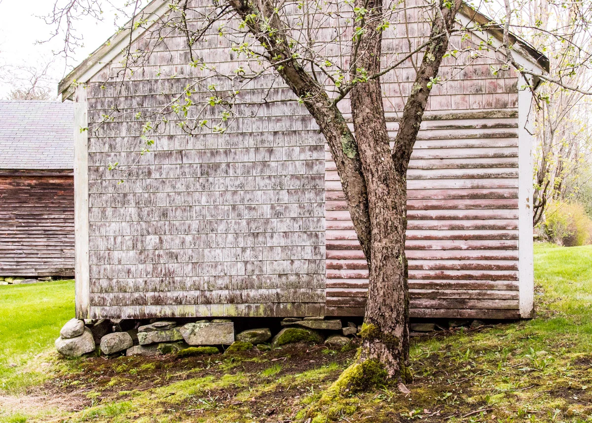 spring at the farm