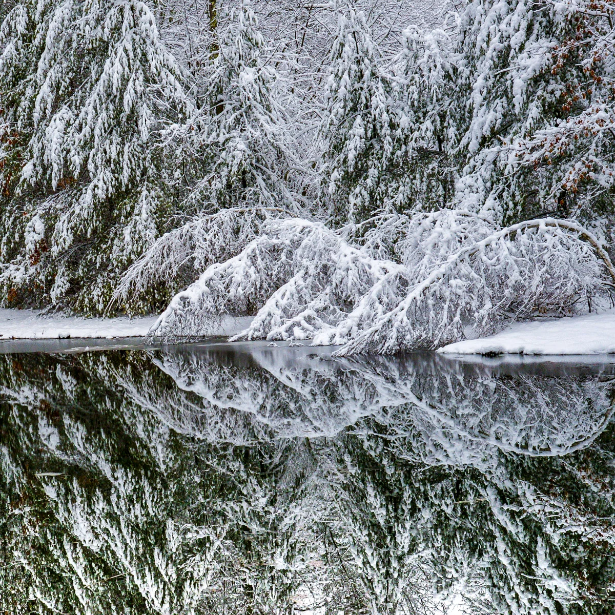 winter #7