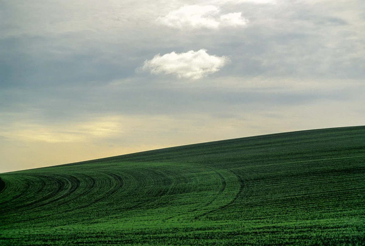cut field