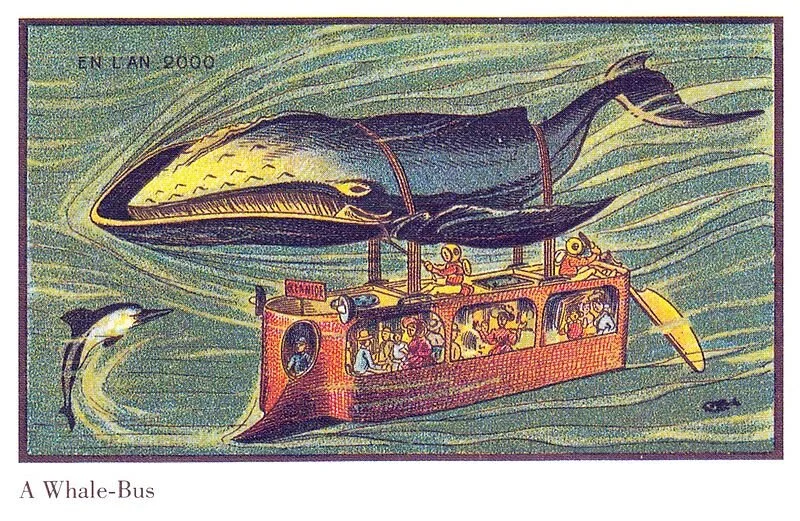 800px-France_in_XXI_Century__Whale_bus.jpg