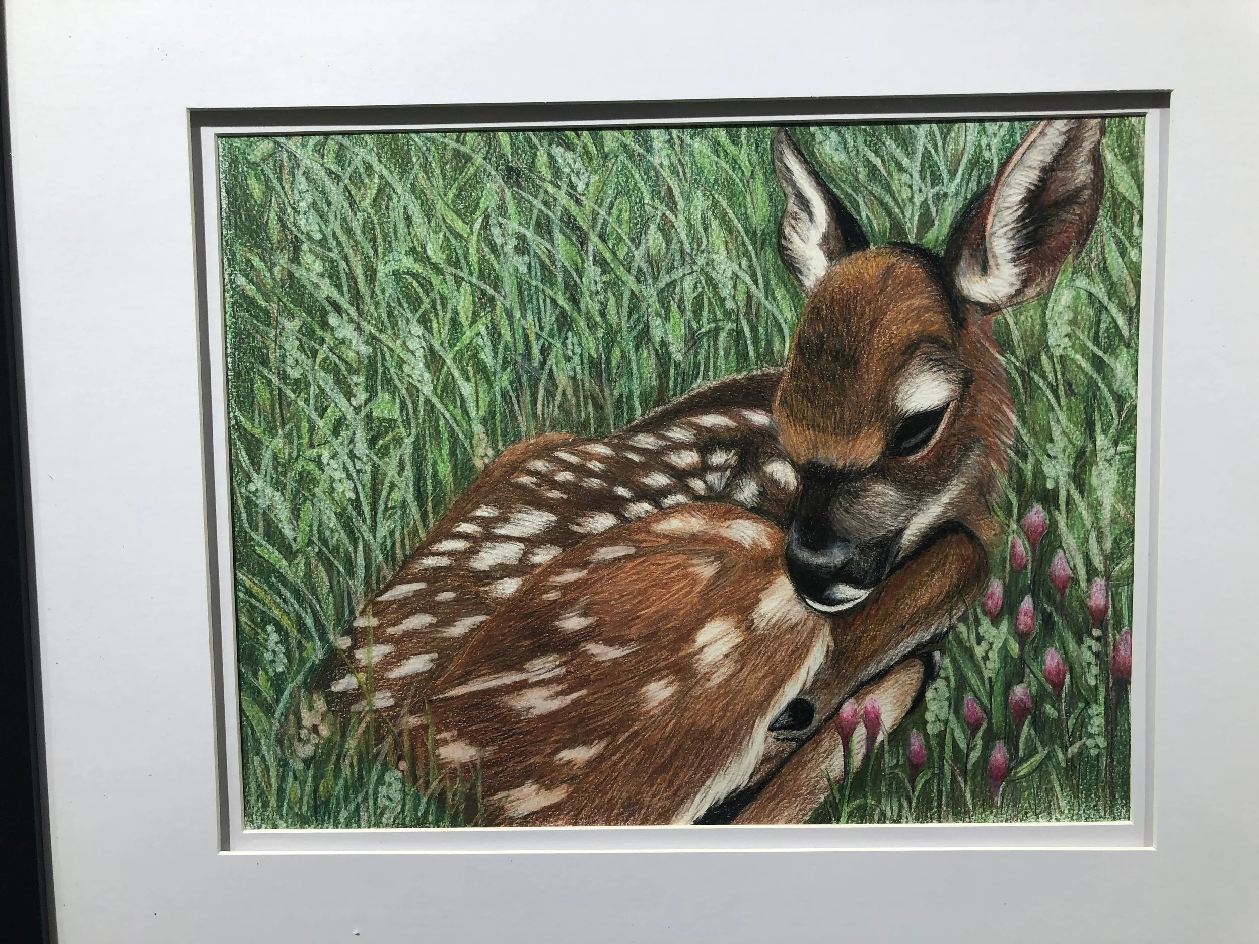Susan Hall Solo Exhibit:  "THIS IS MY  FATHER'S WORLD"