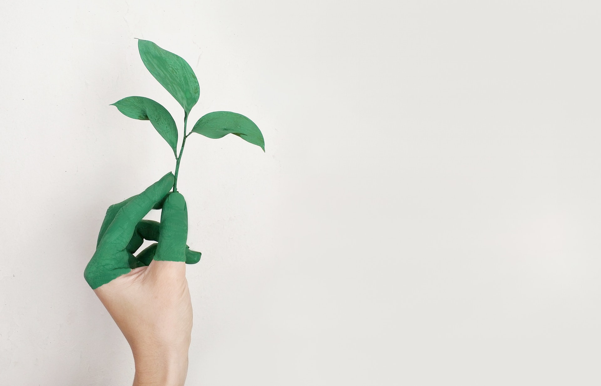 green business