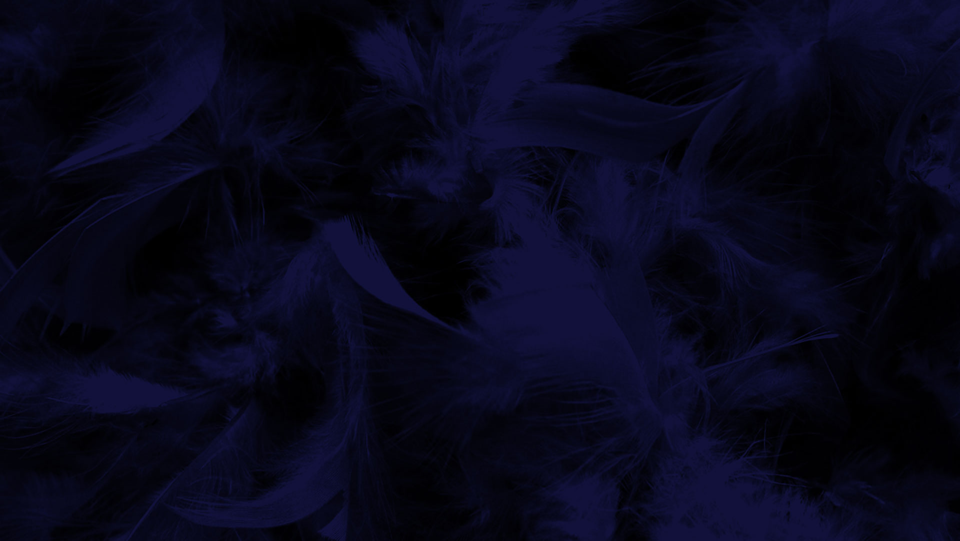 darkbluefeathers.jpg