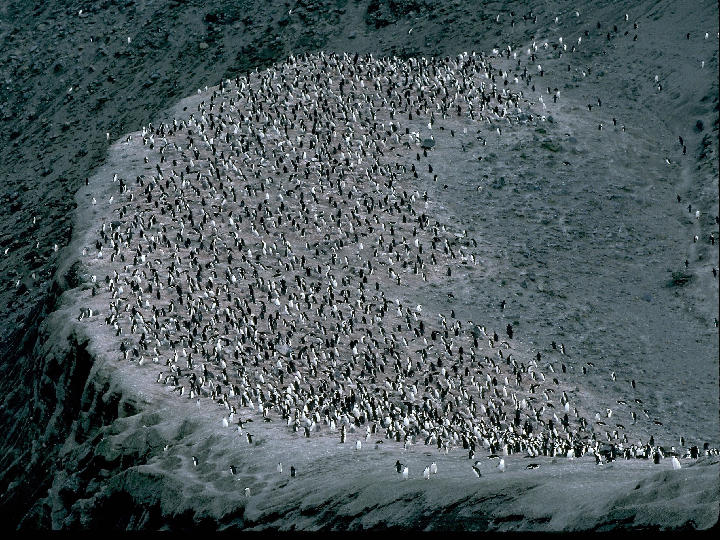 BailyHeadAmphitheatre.jpg