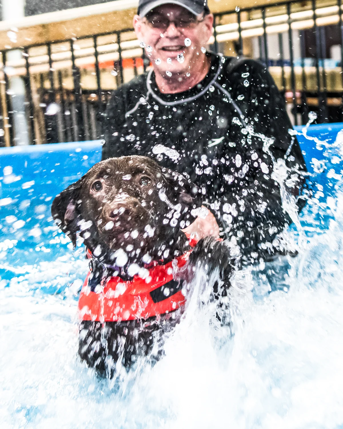 Swimming Dogs-15.jpg