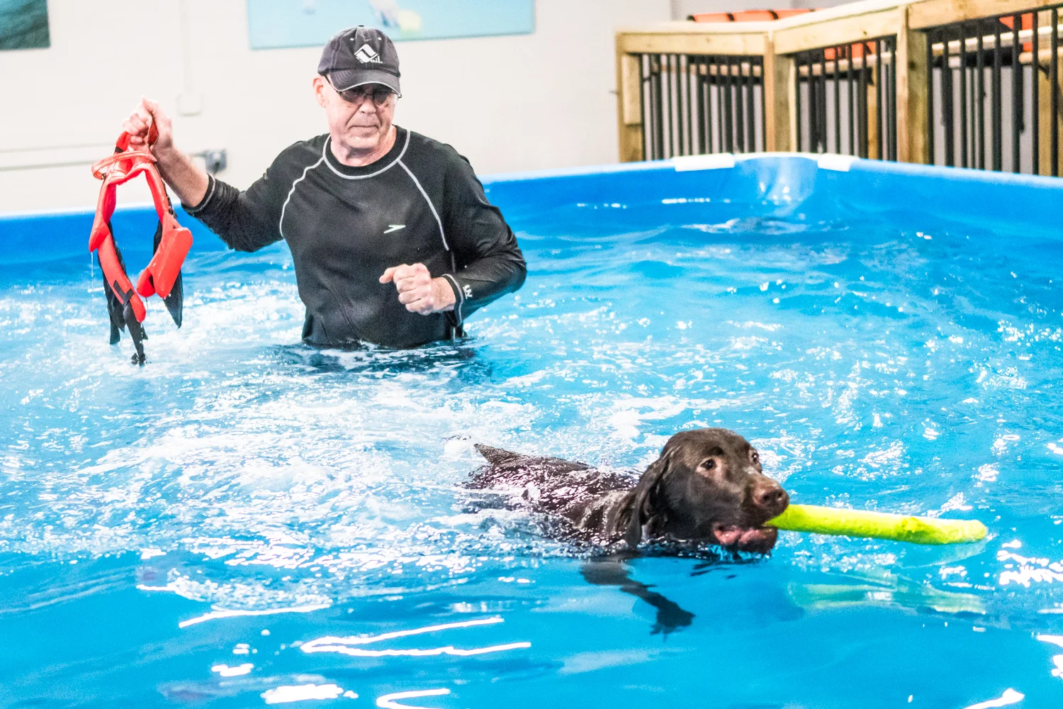 After a few minutes of getting used to being in the water at Club Aqua Paws owner, Mike Iwon, Racine, removes the life jacket helping six-month-old Tilly learn to swim. Tilly picks up swimming naturally and begins playing with toys. 