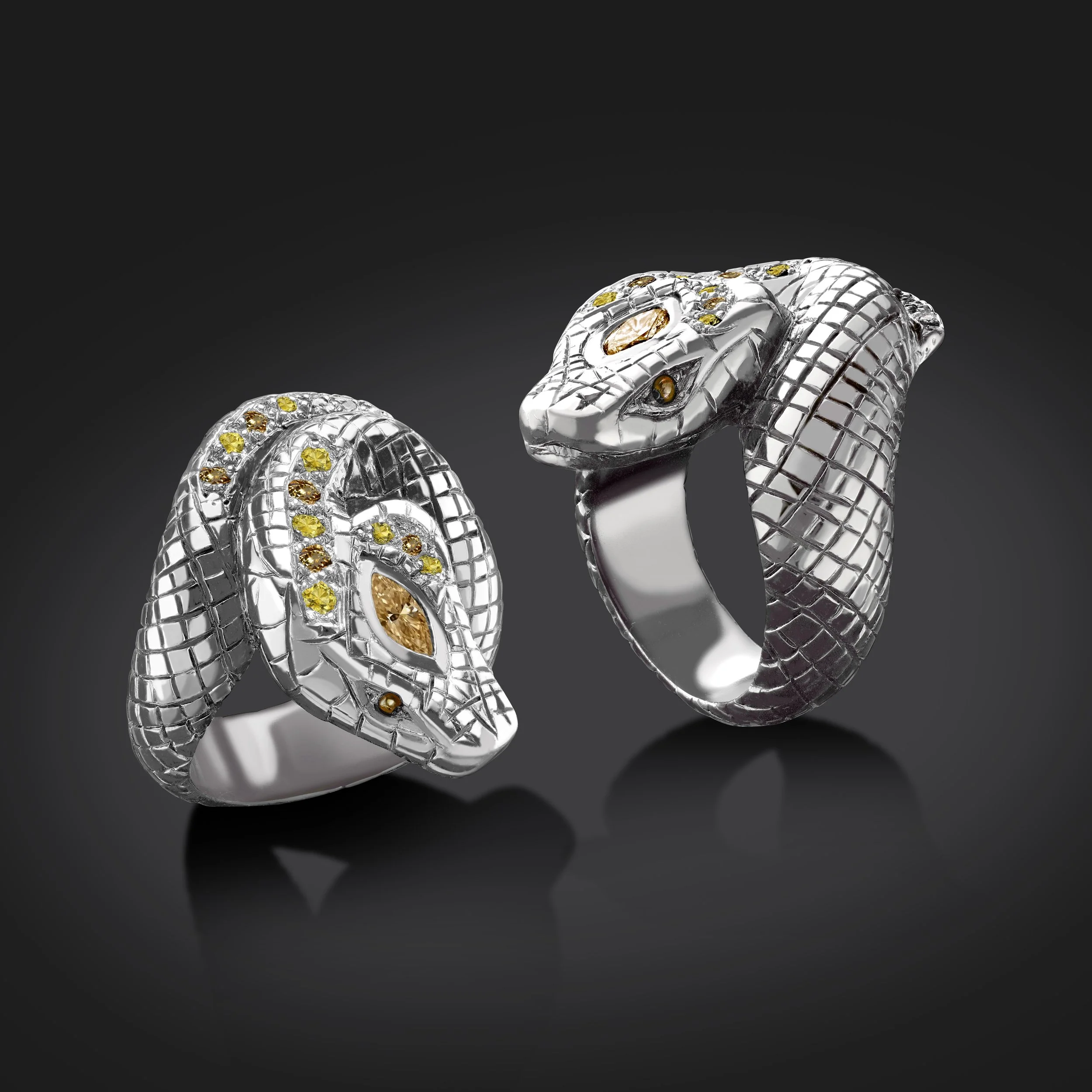 Python - Matt Silver.jpg