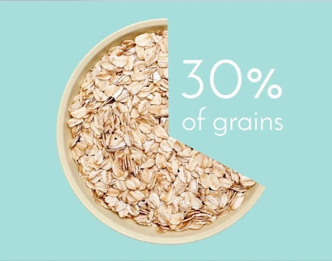 Food Waste Animation