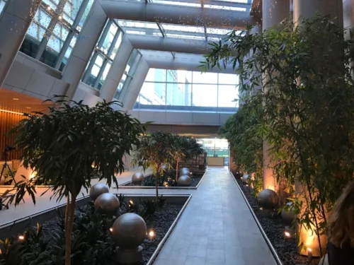 The atrium at the new Sobrato Pavilion is a thing of beauty.