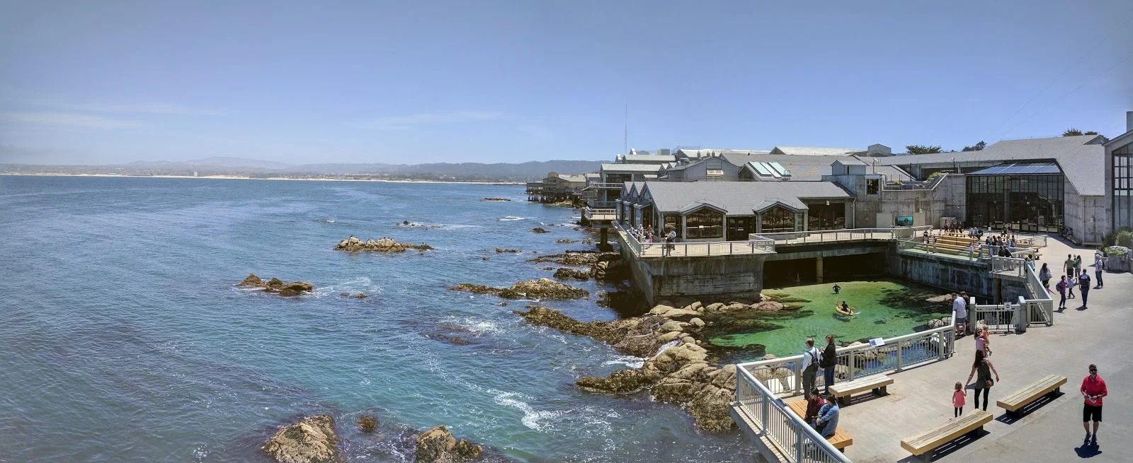 Monterey-bay-aquarium-review.jpg