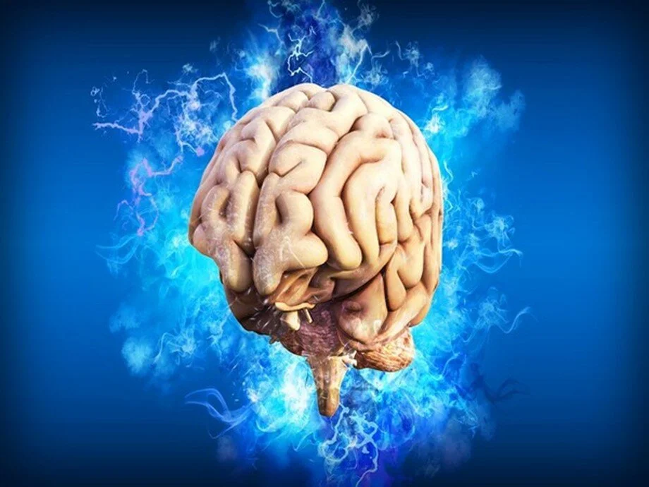 brain.jpg
