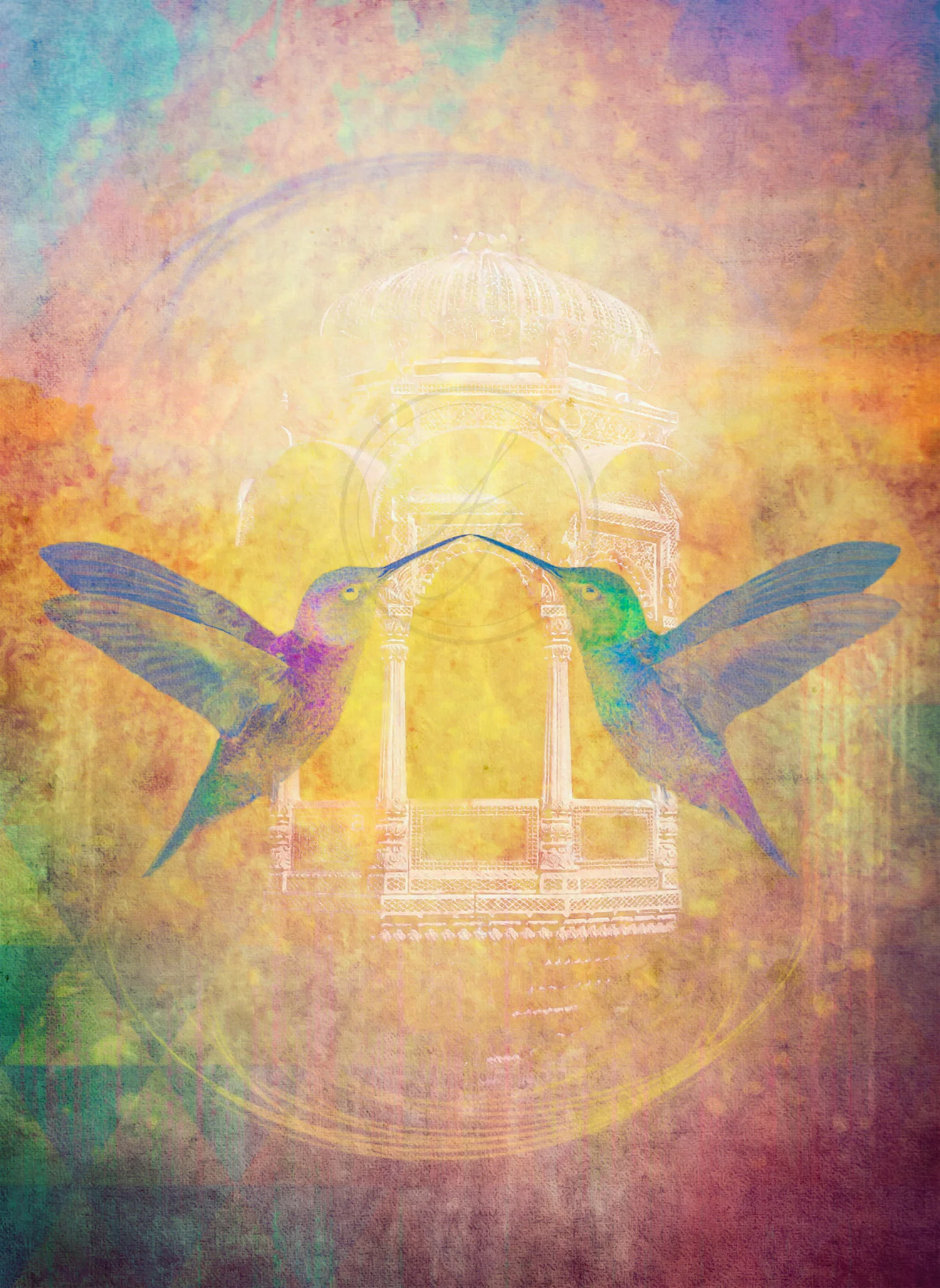 Hummingbirds
