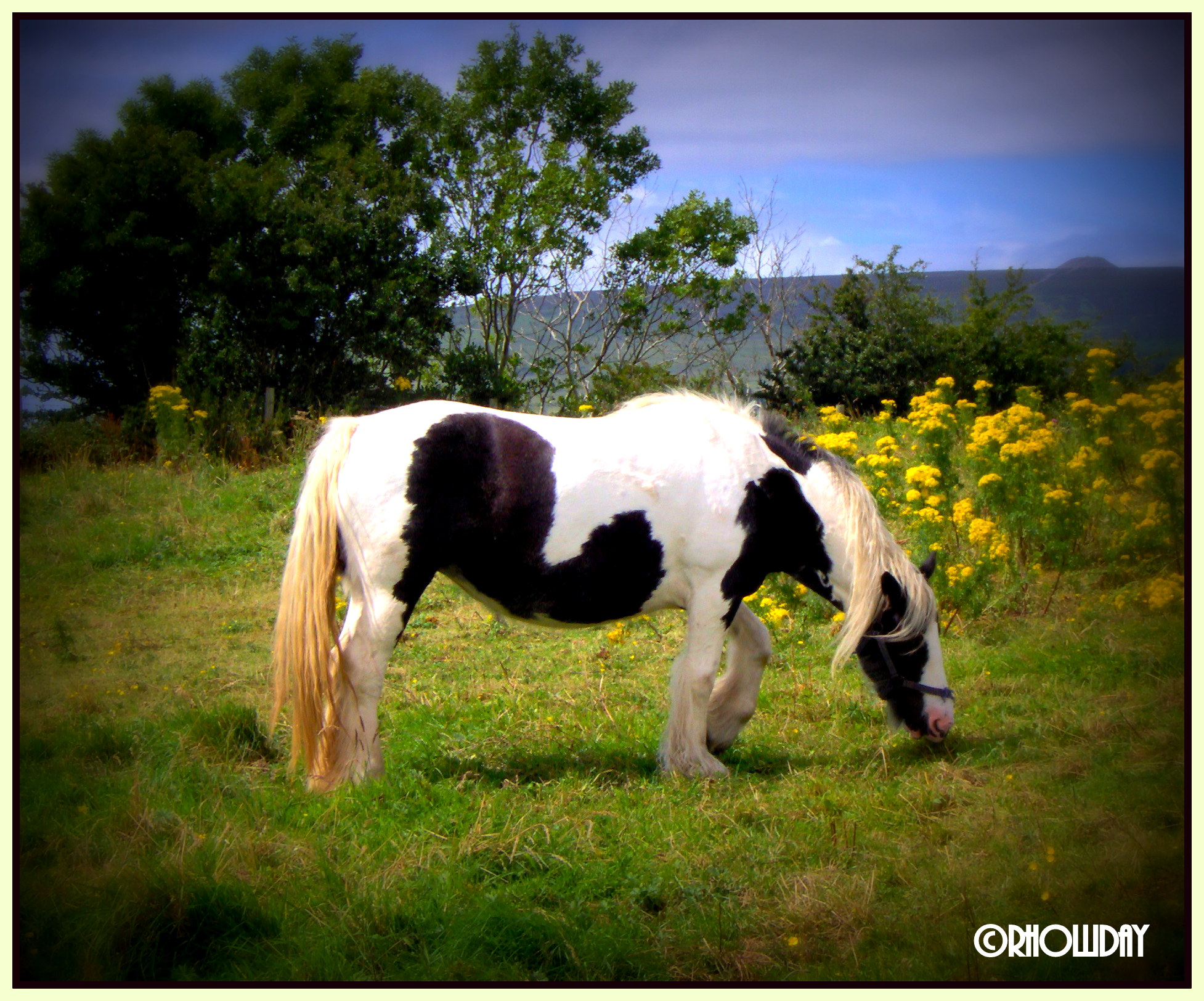 Co. Sligo, Ireland