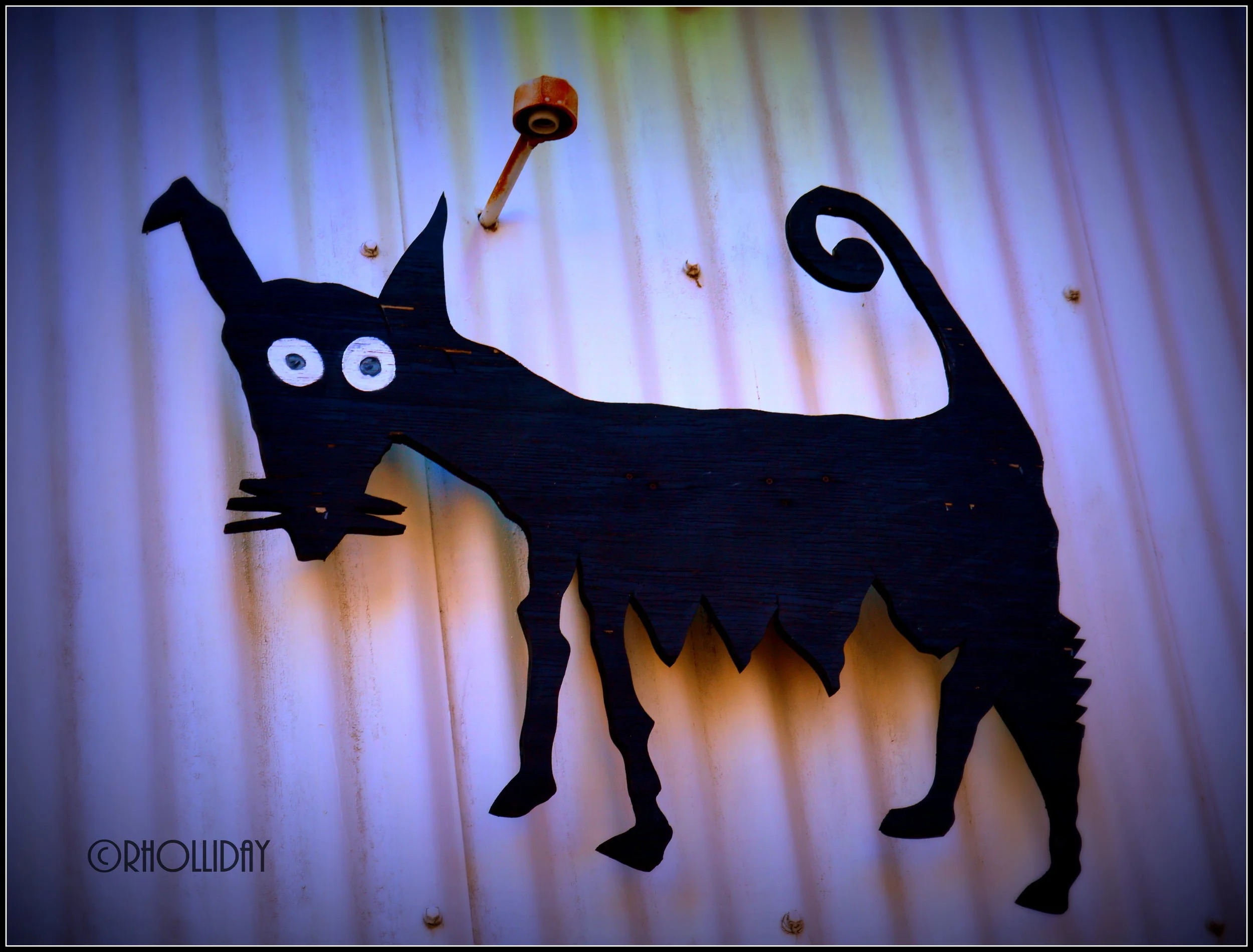DogSign.jpg