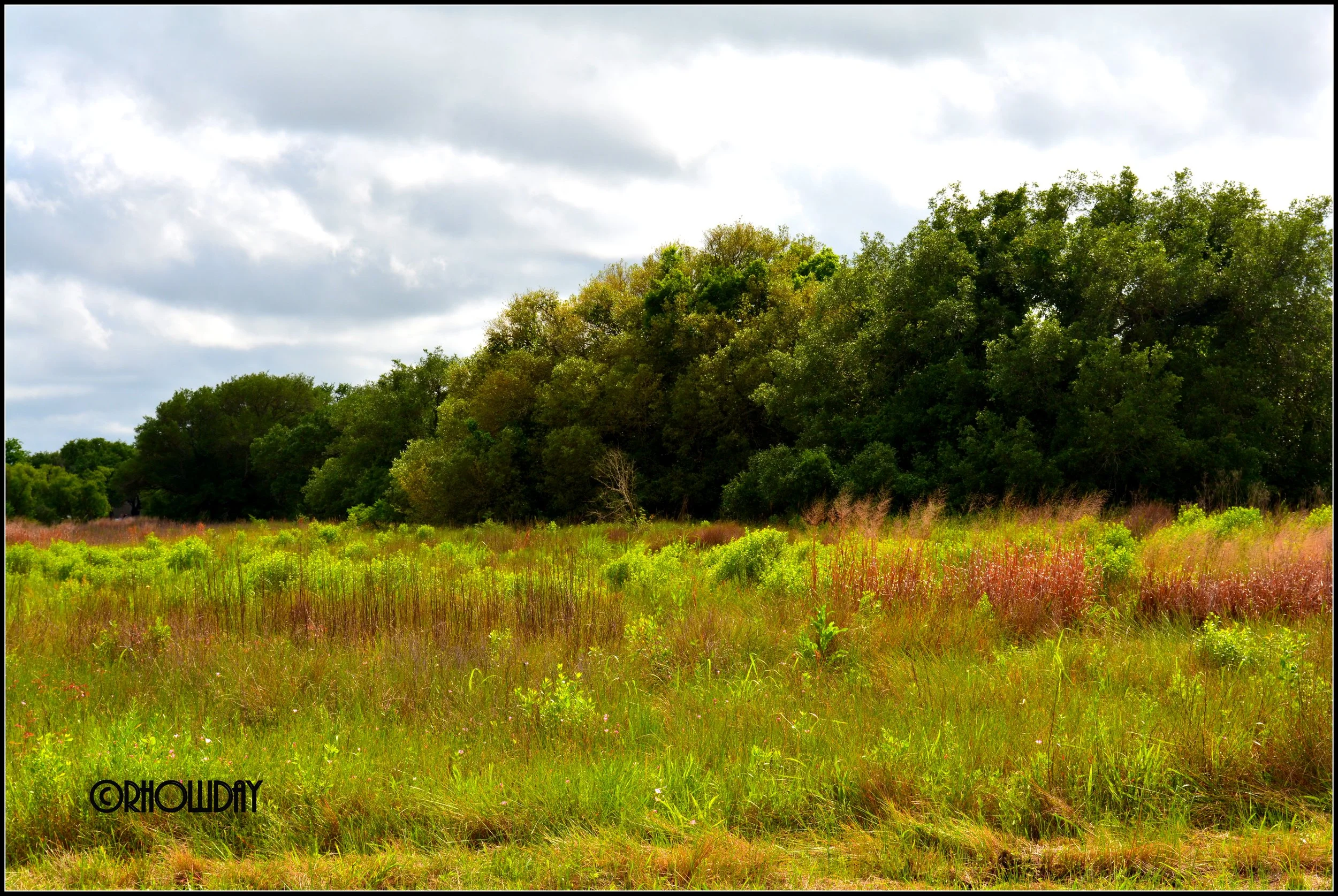 DSC_0663.JPG